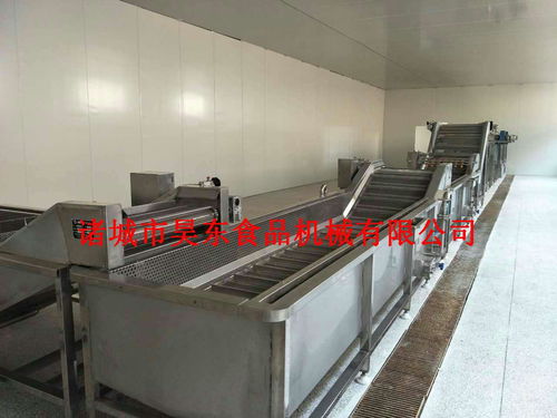 款式新穎救心菜清洗機(jī) 全304救心菜清洗設(shè)備價格,產(chǎn)品報(bào)價
