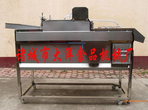 果蔬清洗去雜機(jī),果蔬清洗去雜機(jī)生產(chǎn)廠家,果蔬清洗去雜機(jī)價(jià)格