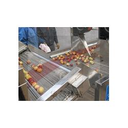 湖南連續(xù)式氣泡清洗設備 諸城長風食品